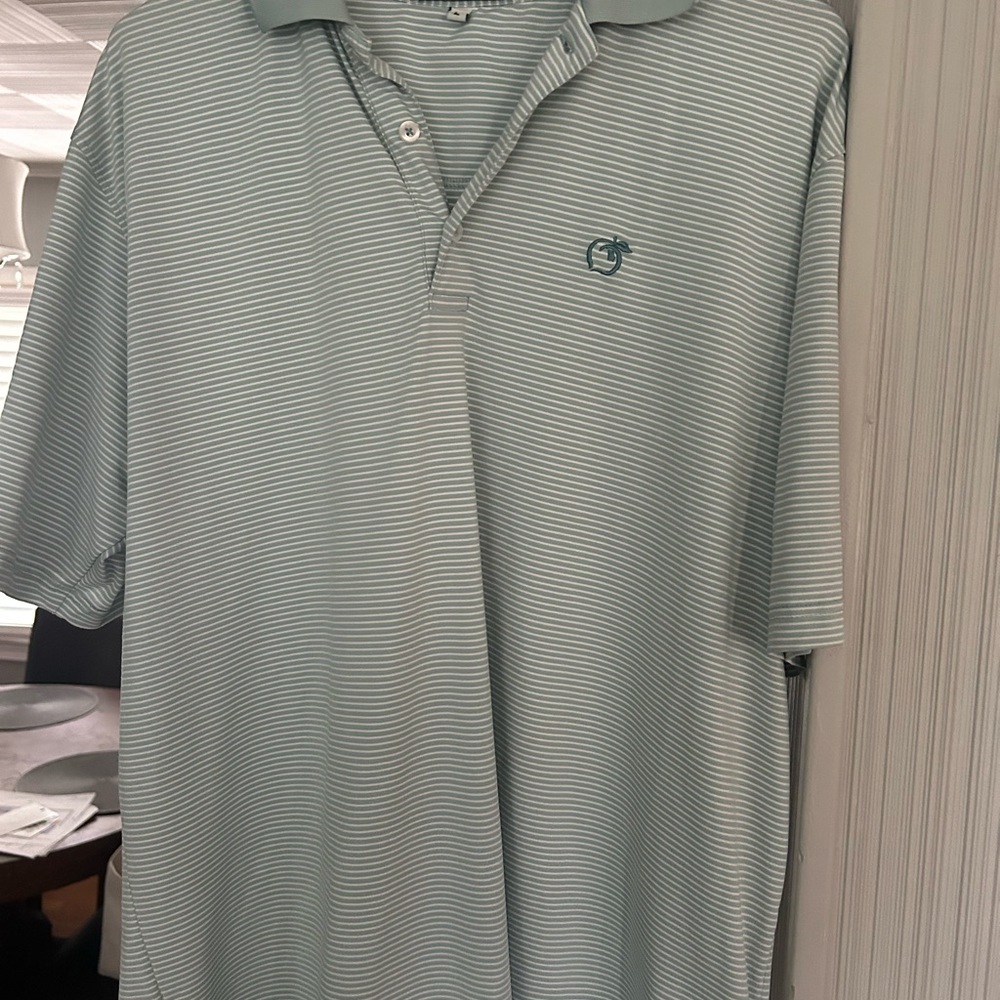 Peach State Pride golf polo- Men's Striped Polo Shirt - seafoam green
